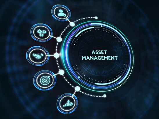 Fixed Asset Management in use
