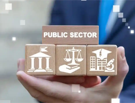 Public Sector industry